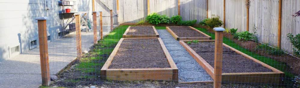 Czym ogrodzić ogródek warzywny, aby skutecznie chronić rośliny?