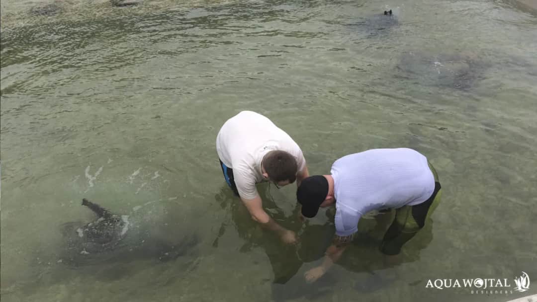 Jak zagęścić żwir skutecznie i uniknąć powszechnych błędów