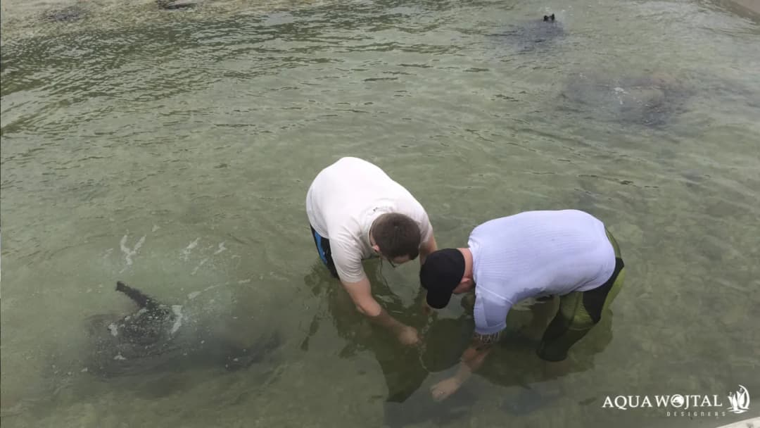 Jak zagęścić żwir skutecznie i uniknąć powszechnych błędów